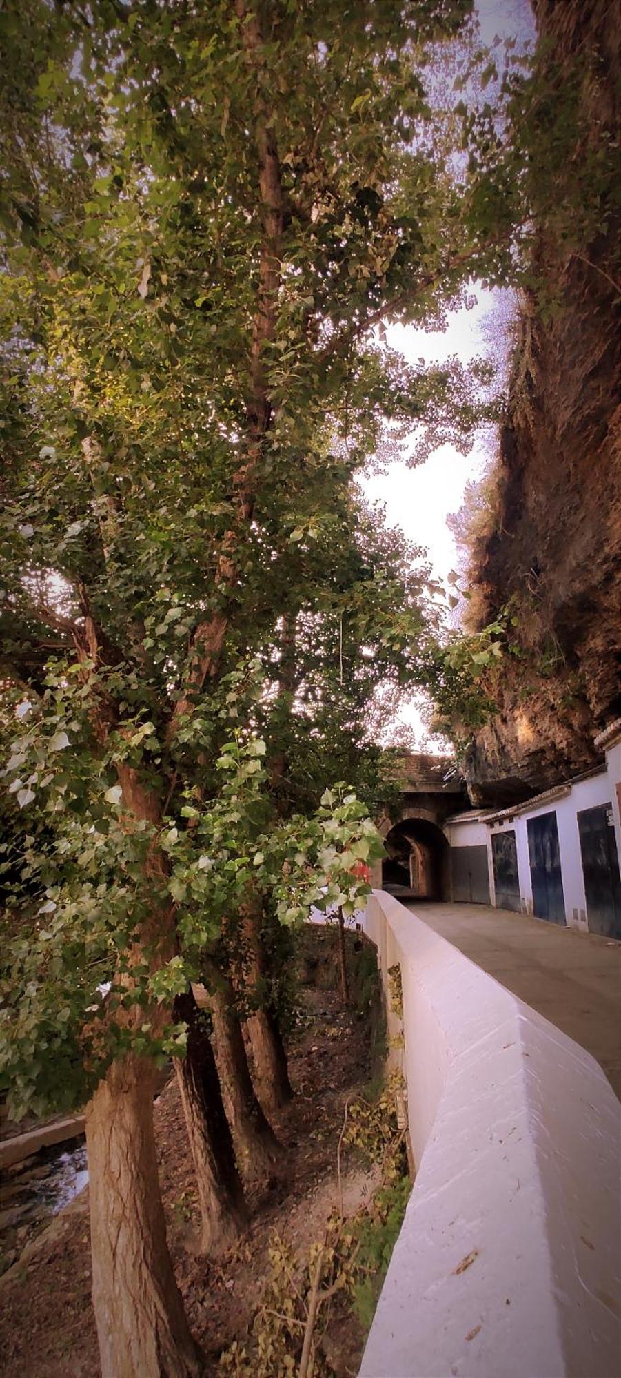 Casa Cueva Las Chicas Del Puente Setenil De Las Bodegas エクステリア 写真